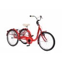 TRI-BIKE Froggy kinderfiets