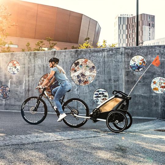 Thule Chariot Lite 2 Fietskar