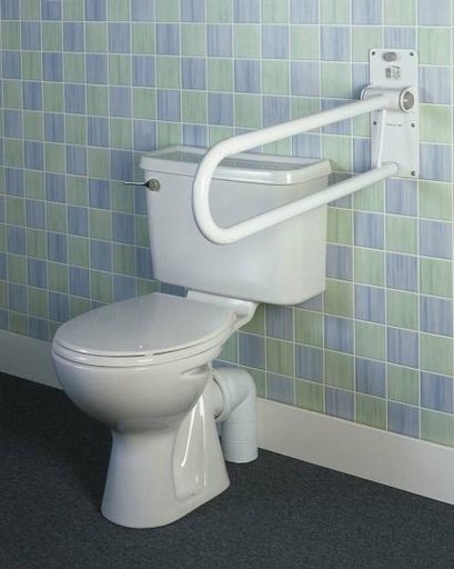 [002674]  Toiletbeugel (handgreep) Devon opklapbaar 55 cm, greep 25 mm